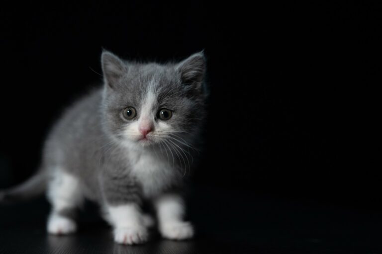 Składniki niepożądane